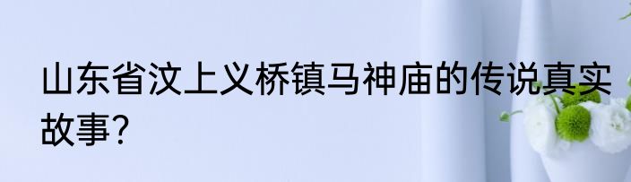 山东省汶上义桥镇马神庙的传说真实故事？
