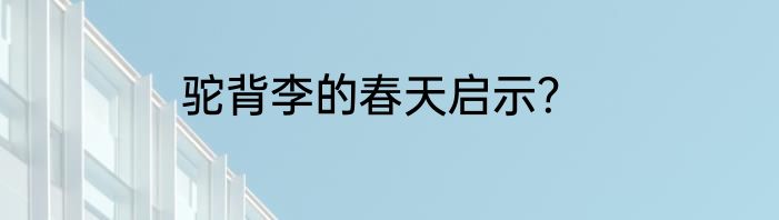 驼背李的春天启示？