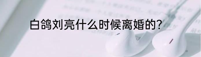 白鸽刘亮什么时候离婚的？