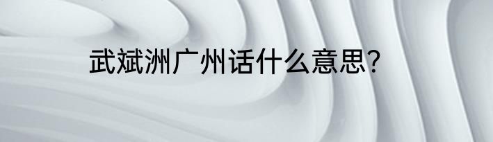 武斌洲广州话什么意思？