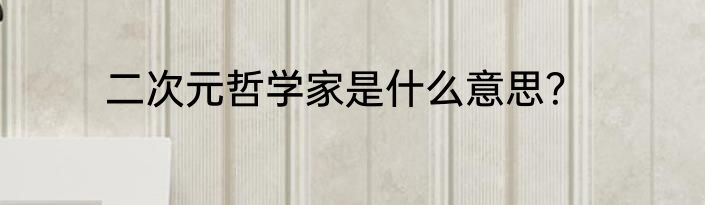 二次元哲学家是什么意思？