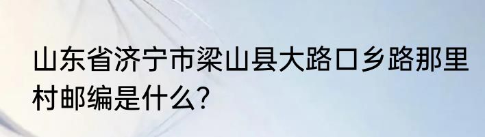 山东省济宁市梁山县大路口乡路那里村邮编是什么？