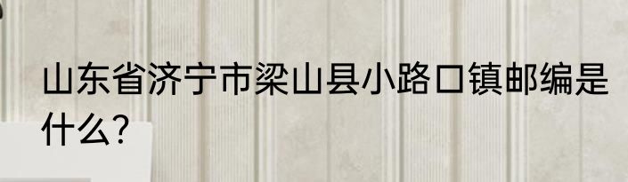 山东省济宁市梁山县小路口镇邮编是什么？