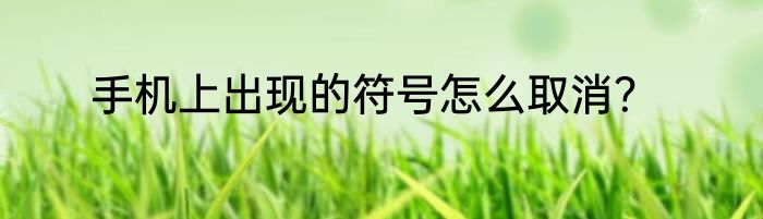 手机上出现的符号怎么取消？