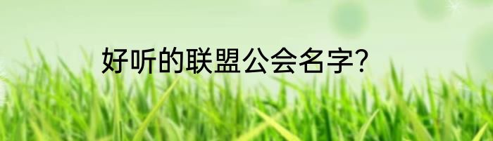 好听的联盟公会名字？