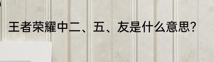 王者荣耀中二、五、友是什么意思？