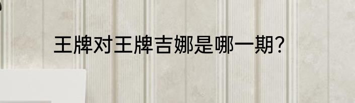 王牌对王牌吉娜是哪一期？