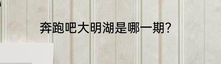 奔跑吧大明湖是哪一期？