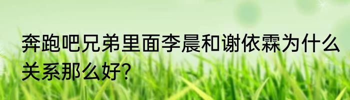 奔跑吧兄弟里面李晨和谢依霖为什么关系那么好？