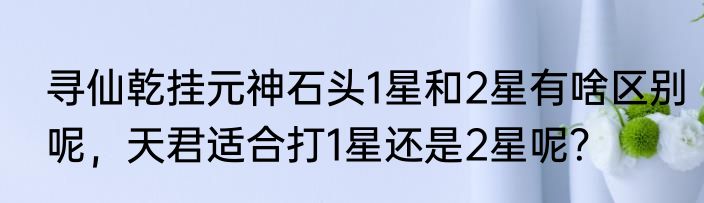 寻仙乾挂元神石头1星和2星有啥区别呢，天君适合打1星还是2星呢？