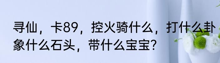 寻仙，卡89，控火骑什么，打什么卦象什么石头，带什么宝宝？