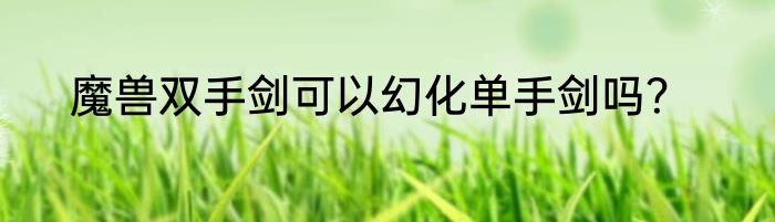 魔兽双手剑可以幻化单手剑吗？