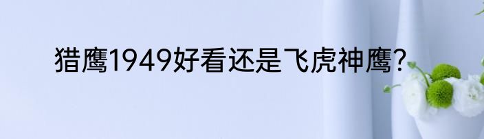 猎鹰1949好看还是飞虎神鹰？