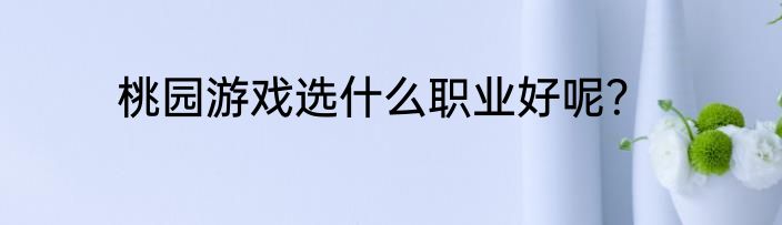 桃园游戏选什么职业好呢？
