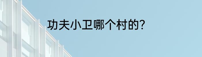 功夫小卫哪个村的？