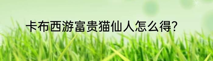 卡布西游富贵猫仙人怎么得？