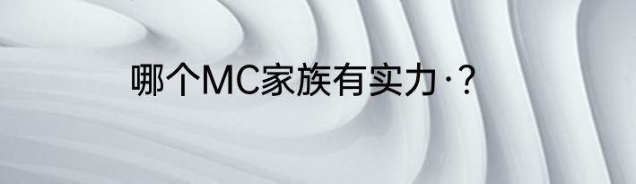 哪个MC家族有实力·？