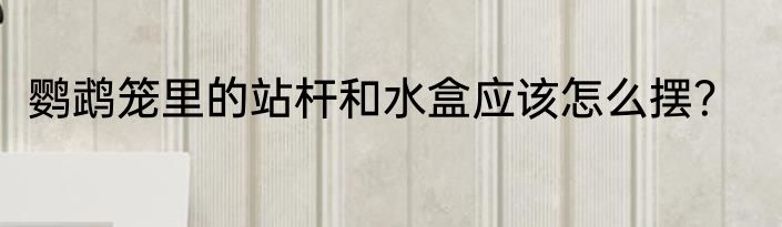 鹦鹉笼里的站杆和水盒应该怎么摆？