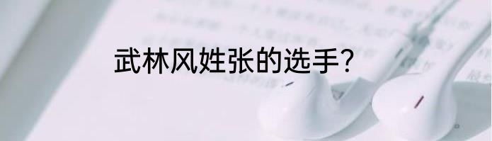武林风姓张的选手？