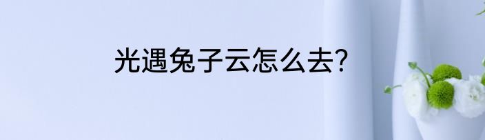 光遇兔子云怎么去？