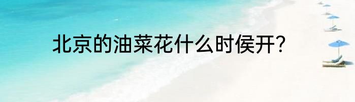 北京的油菜花什么时侯开？