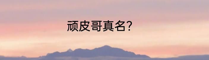 顽皮哥真名？