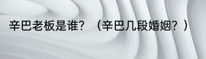 辛巴老板是谁？（辛巴几段婚姻？）