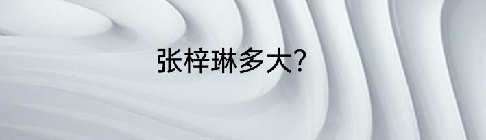 张梓琳多大？