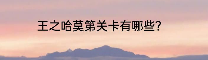 王之哈莫第关卡有哪些？