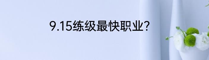 9.15练级最快职业？