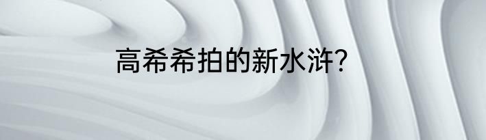 高希希拍的新水浒？