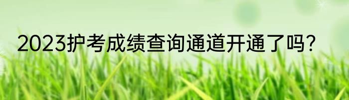 2023护考成绩查询通道开通了吗？