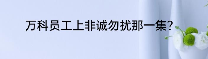 万科员工上非诚勿扰那一集？