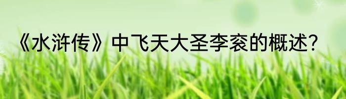《水浒传》中飞天大圣李衮的概述？