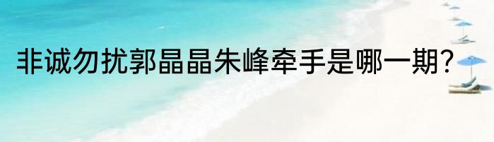非诚勿扰郭晶晶朱峰牵手是哪一期？