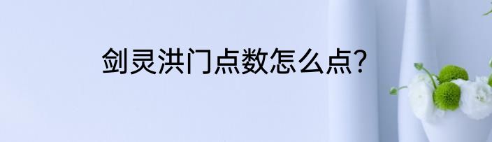 剑灵洪门点数怎么点？