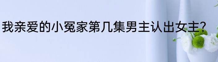 我亲爱的小冤家第几集男主认出女主？
