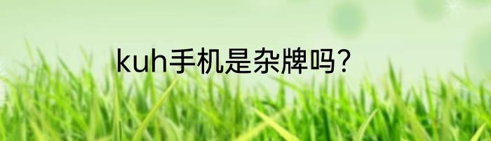 kuh手机是杂牌吗？