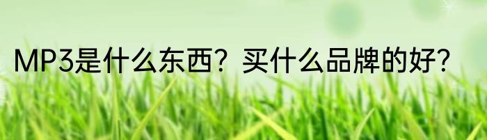 MP3是什么东西？买什么品牌的好？