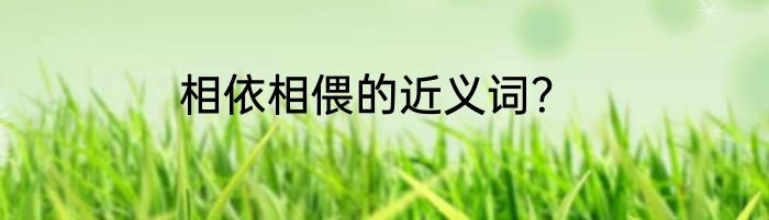 相依相偎的近义词？