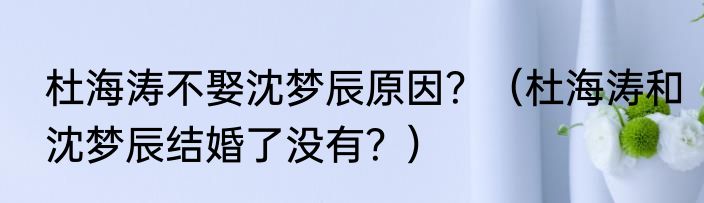 杜海涛不娶沈梦辰原因？（杜海涛和沈梦辰结婚了没有？）