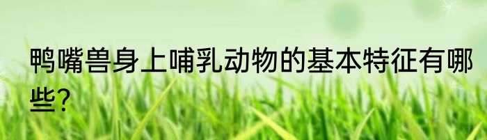 鸭嘴兽身上哺乳动物的基本特征有哪些？