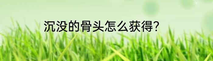 沉没的骨头怎么获得？