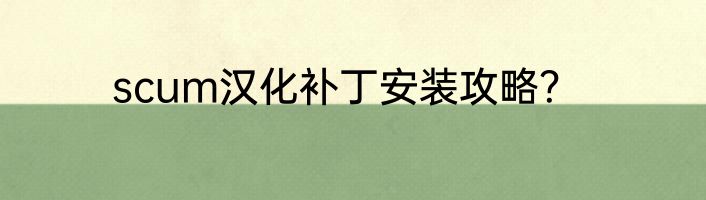 scum汉化补丁安装攻略？