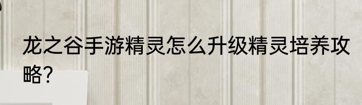 龙之谷手游精灵怎么升级精灵培养攻略？