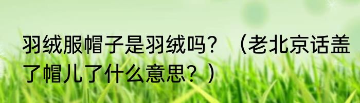 羽绒服帽子是羽绒吗？（老北京话盖了帽儿了什么意思？）