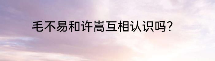 毛不易和许嵩互相认识吗？