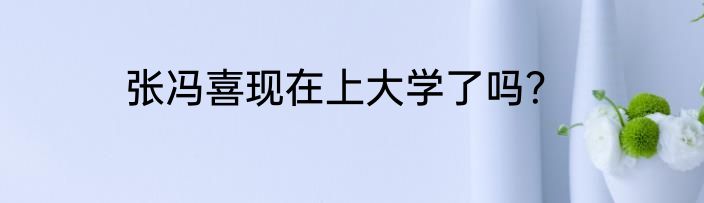 张冯喜现在上大学了吗？