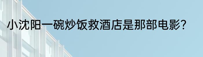 小沈阳一碗炒饭救酒店是那部电影？