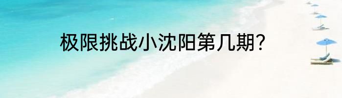 极限挑战小沈阳第几期？